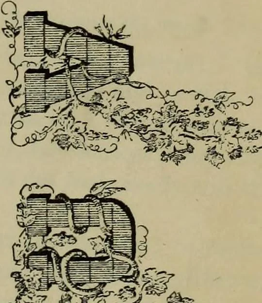 An illustration from The penman's hand-book : for penmen and students, embracing a history of writing ... many complete alphabets ... ; Also, Chapters on teaching penmanship, business letter writing, off-hand flourishing ... etc., 1883, leaf 118