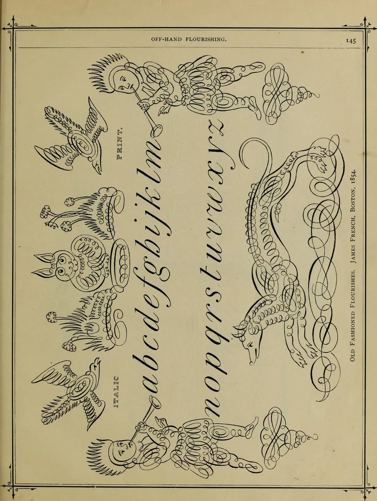 An illustration from The penman's hand-book : for penmen and students, embracing a history of writing ... many complete alphabets ... ; Also, Chapters on teaching penmanship, business letter writing, off-hand flourishing ... etc., 1883, leaf 140