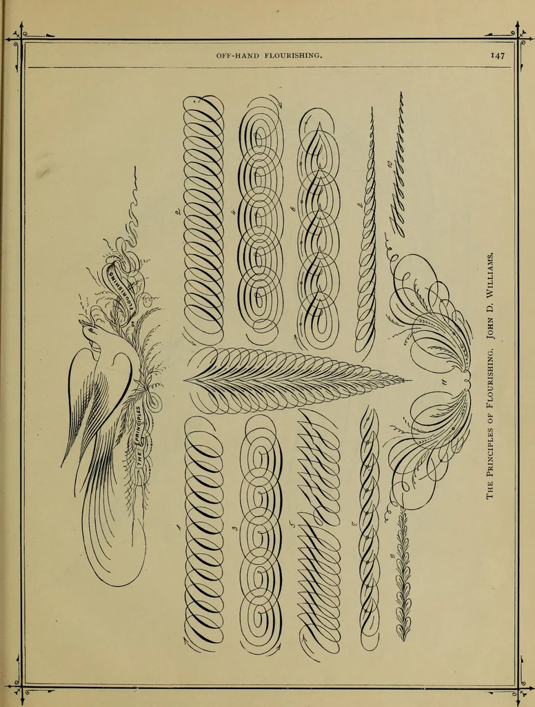 An illustration from The penman's hand-book : for penmen and students, embracing a history of writing ... many complete alphabets ... ; Also, Chapters on teaching penmanship, business letter writing, off-hand flourishing ... etc., 1883, leaf 142