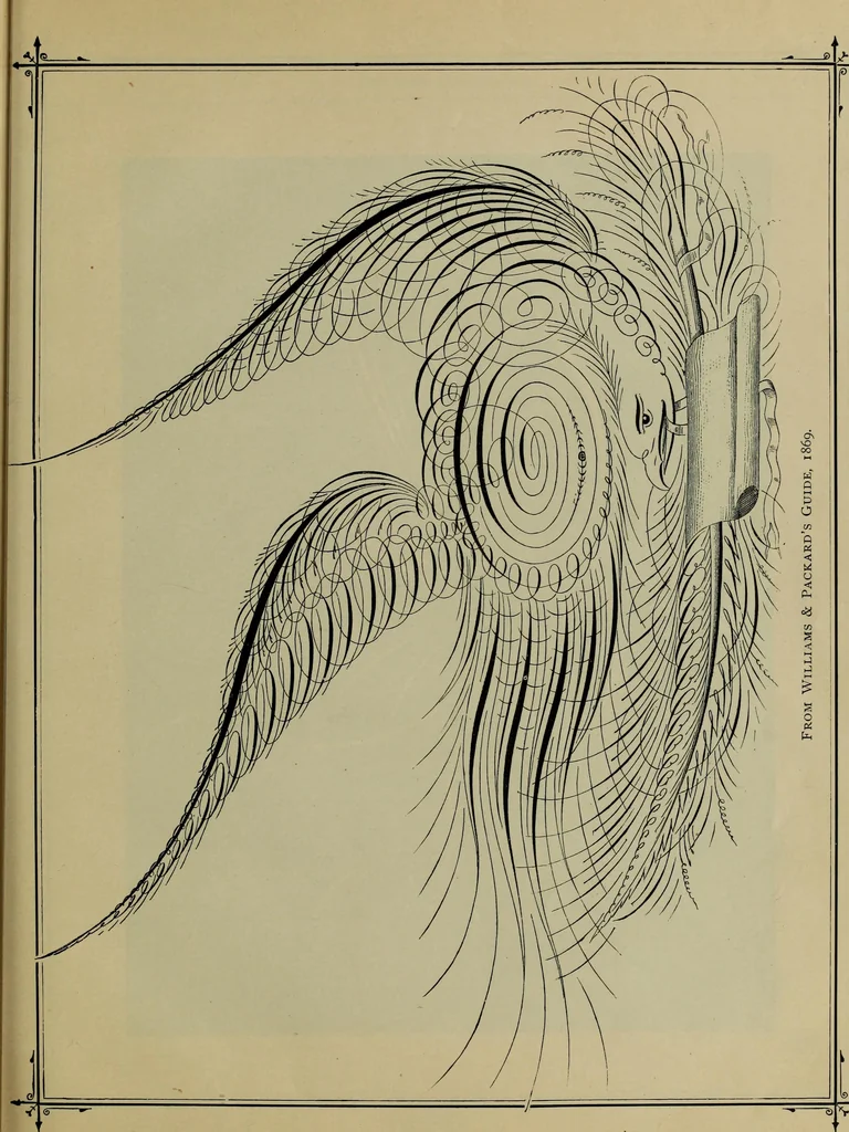 An illustration from The penman's hand-book : for penmen and students, embracing a history of writing ... many complete alphabets ... ; Also, Chapters on teaching penmanship, business letter writing, off-hand flourishing ... etc., 1883, leaf 144