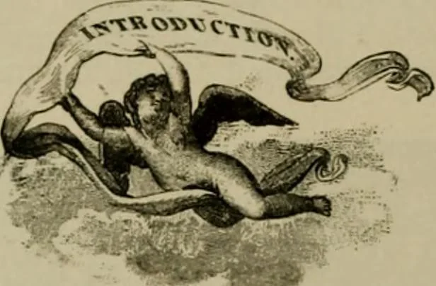 An illustration from The penman's hand-book : for penmen and students, embracing a history of writing ... many complete alphabets ... ; Also, Chapters on teaching penmanship, business letter writing, off-hand flourishing ... etc., 1883, leaf 23