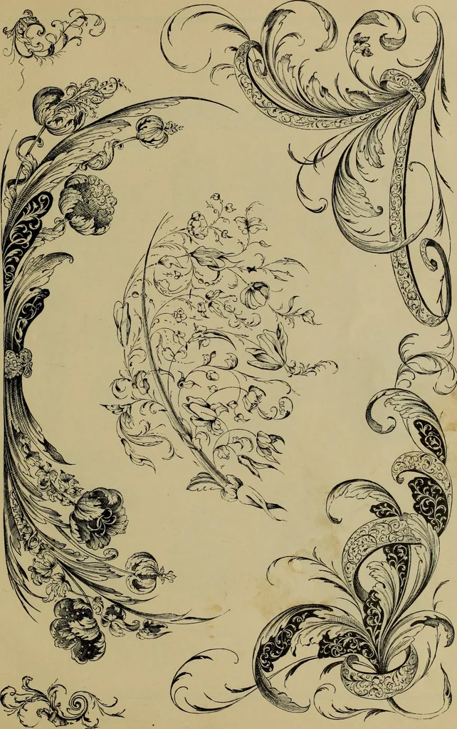 An illustration from The penman's hand-book : for penmen and students, embracing a history of writing ... many complete alphabets ... ; Also, Chapters on teaching penmanship, business letter writing, off-hand flourishing ... etc., 1883, leaf 238