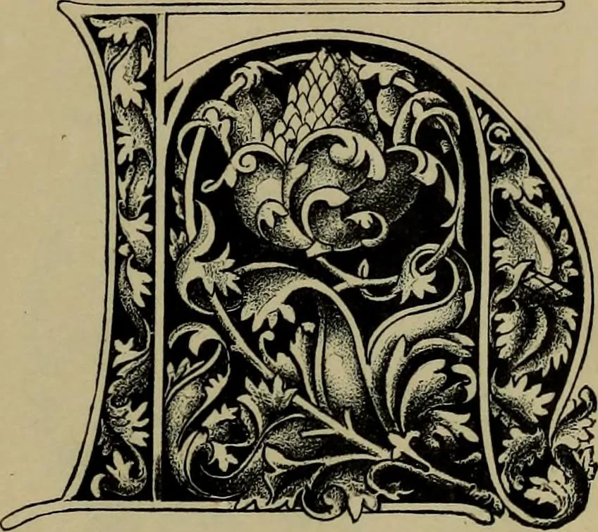 An illustration from The penman's hand-book : for penmen and students, embracing a history of writing ... many complete alphabets ... ; Also, Chapters on teaching penmanship, business letter writing, off-hand flourishing ... etc., 1883, leaf 36