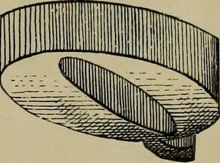 An illustration from The penman's hand-book : for penmen and students, embracing a history of writing ... many complete alphabets ... ; Also, Chapters on teaching penmanship, business letter writing, off-hand flourishing ... etc., 1883, leaf 58