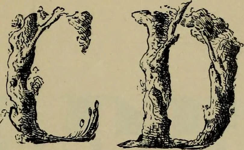 An illustration from The penman's hand-book : for penmen and students, embracing a history of writing ... many complete alphabets ... ; Also, Chapters on teaching penmanship, business letter writing, off-hand flourishing ... etc., 1883, leaf 64