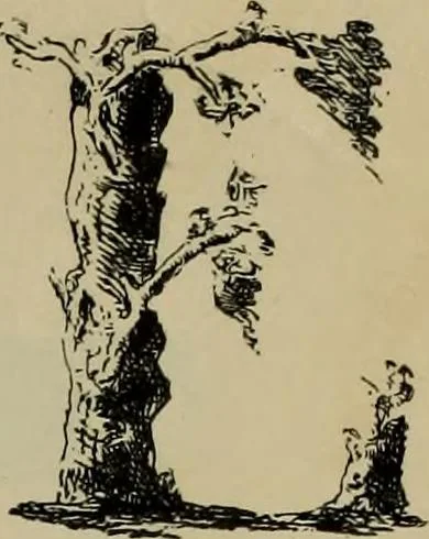 An illustration from The penman's hand-book : for penmen and students, embracing a history of writing ... many complete alphabets ... ; Also, Chapters on teaching penmanship, business letter writing, off-hand flourishing ... etc., 1883, leaf 64