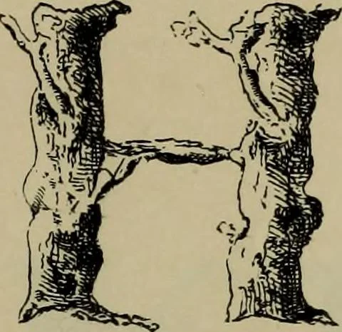 An illustration from The penman's hand-book : for penmen and students, embracing a history of writing ... many complete alphabets ... ; Also, Chapters on teaching penmanship, business letter writing, off-hand flourishing ... etc., 1883, leaf 64