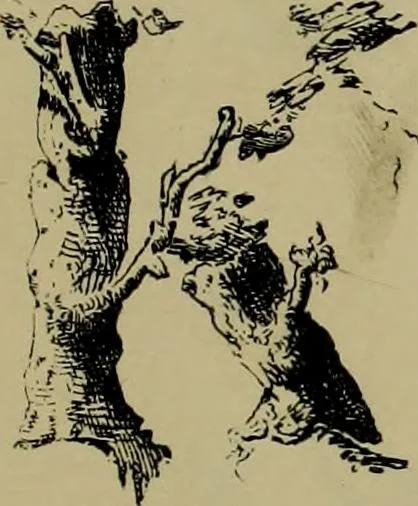 An illustration from The penman's hand-book : for penmen and students, embracing a history of writing ... many complete alphabets ... ; Also, Chapters on teaching penmanship, business letter writing, off-hand flourishing ... etc., 1883, leaf 64