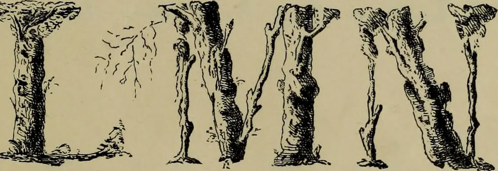 An illustration from The penman's hand-book : for penmen and students, embracing a history of writing ... many complete alphabets ... ; Also, Chapters on teaching penmanship, business letter writing, off-hand flourishing ... etc., 1883, leaf 64