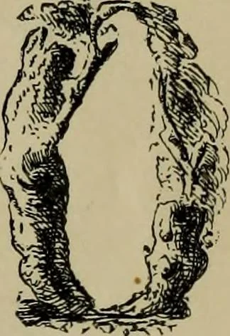 An illustration from The penman's hand-book : for penmen and students, embracing a history of writing ... many complete alphabets ... ; Also, Chapters on teaching penmanship, business letter writing, off-hand flourishing ... etc., 1883, leaf 64