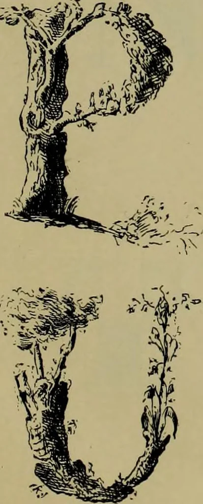 An illustration from The penman's hand-book : for penmen and students, embracing a history of writing ... many complete alphabets ... ; Also, Chapters on teaching penmanship, business letter writing, off-hand flourishing ... etc., 1883, leaf 64