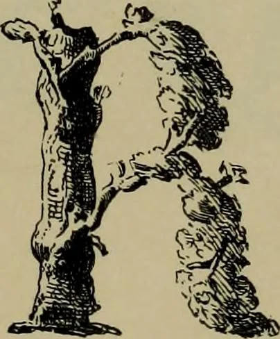 An illustration from The penman's hand-book : for penmen and students, embracing a history of writing ... many complete alphabets ... ; Also, Chapters on teaching penmanship, business letter writing, off-hand flourishing ... etc., 1883, leaf 64