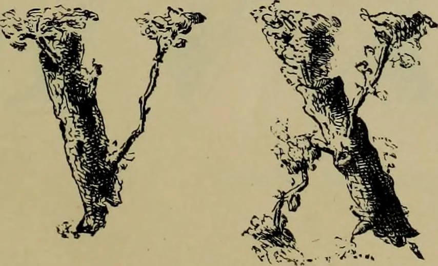 An illustration from The penman's hand-book : for penmen and students, embracing a history of writing ... many complete alphabets ... ; Also, Chapters on teaching penmanship, business letter writing, off-hand flourishing ... etc., 1883, leaf 64