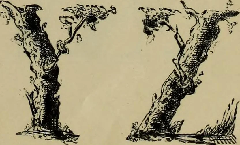 An illustration from The penman's hand-book : for penmen and students, embracing a history of writing ... many complete alphabets ... ; Also, Chapters on teaching penmanship, business letter writing, off-hand flourishing ... etc., 1883, leaf 64