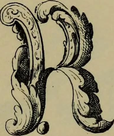 An illustration from The penman's hand-book : for penmen and students, embracing a history of writing ... many complete alphabets ... ; Also, Chapters on teaching penmanship, business letter writing, off-hand flourishing ... etc., 1883, leaf 72