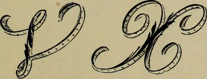 An illustration from The penman's hand-book : for penmen and students, embracing a history of writing ... many complete alphabets ... ; Also, Chapters on teaching penmanship, business letter writing, off-hand flourishing ... etc., 1883, leaf 84