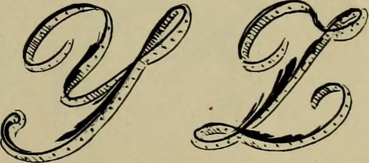 An illustration from The penman's hand-book : for penmen and students, embracing a history of writing ... many complete alphabets ... ; Also, Chapters on teaching penmanship, business letter writing, off-hand flourishing ... etc., 1883, leaf 84