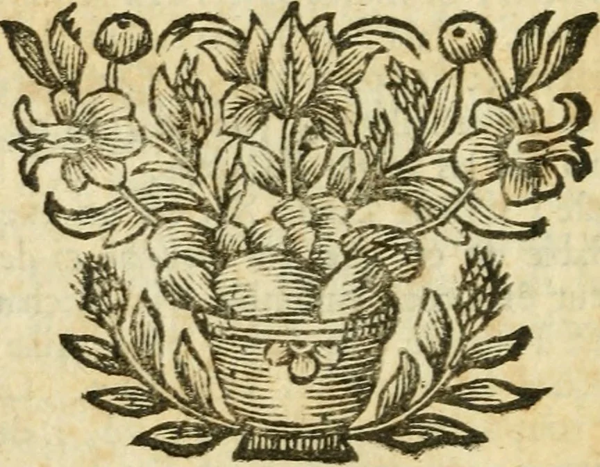 An illustration from Pensées diverses ecrites à un docteur de Sorbonne a l'occasion de la comete, qui parut au mois de Decembre 1680, 1749, leaf 347