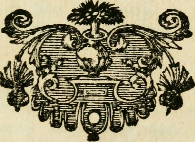 An illustration from Pensées diverses ecrites à un docteur de Sorbonne a l'occasion de la comete, qui parut au mois de Decembre 1680, 1749, leaf 8