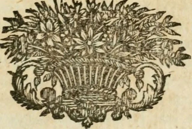 An illustration from Pensées diverses ecrites à un docteur de Sorbonne a l'occasion de la comete, qui parut au mois de Decembre 1680, 1749, leaf 226