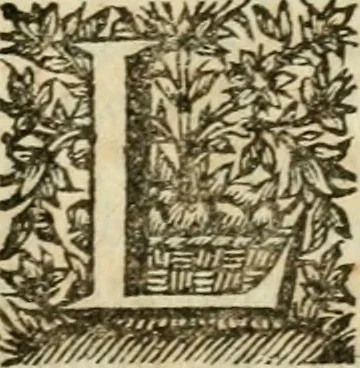 An illustration from Pensées diverses ecrites à un docteur de Sorbonne a l'occasion de la comete, qui parut au mois de Decembre 1680, 1749, leaf 234
