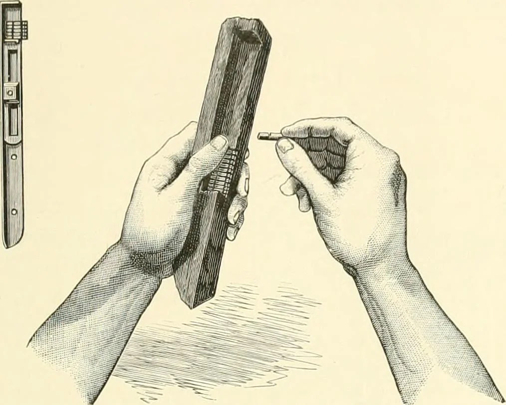 An illustration from The Pentateuch of printing, with a chapter on Judges, 1891, leaf 88