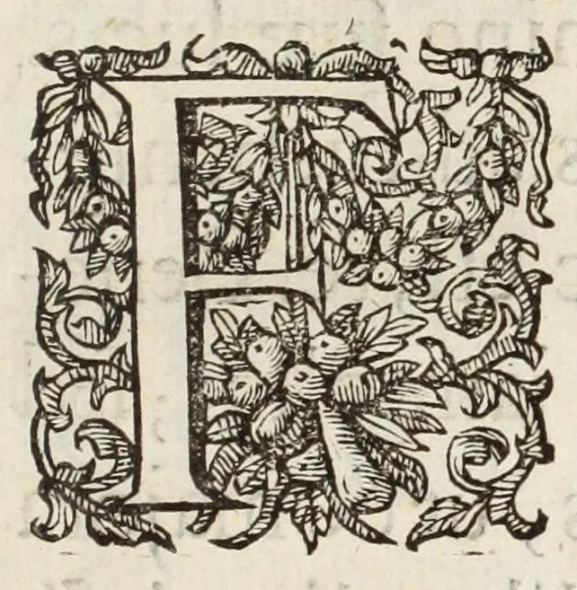 An illustration from Pentēkontarchos, sive, Quinquaginta militum ductor, 1612, leaf 7