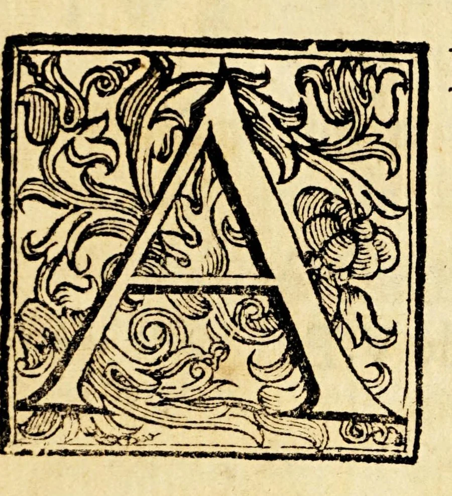 An illustration from Peregrinacion del mundo, 1682, leaf 11