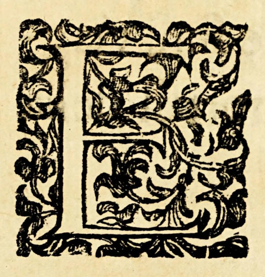 An illustration from Peregrinazione del mondo, 1683, leaf 11