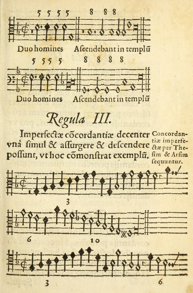 An illustration from Perfacilis, breuis, et expedita ratio componendi symphonias, co[n]centusue musicos, 1585, leaf 29