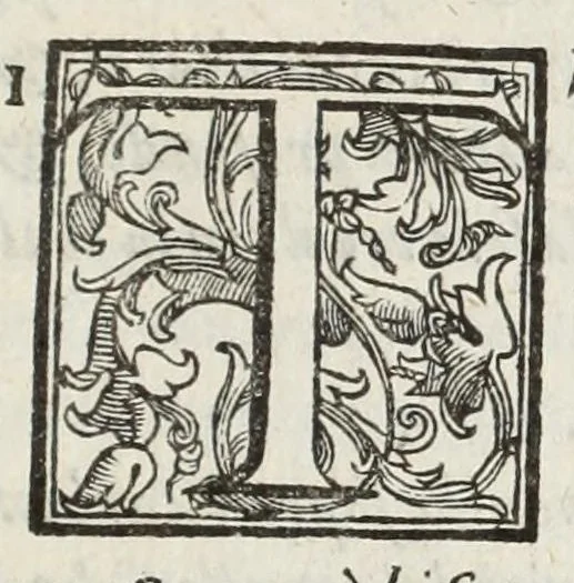 An illustration from Perfette regole, et modi di caualcare, 1625, leaf 105