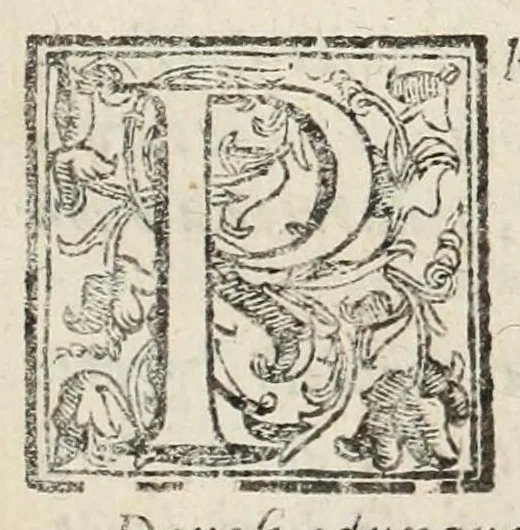 An illustration from Perfette regole, et modi di caualcare, 1625, leaf 15