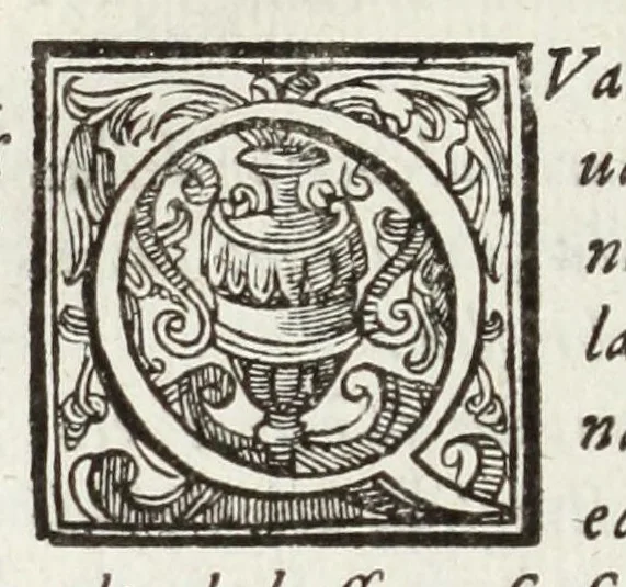 An illustration from Perfette regole, et modi di caualcare, 1625, leaf 60
