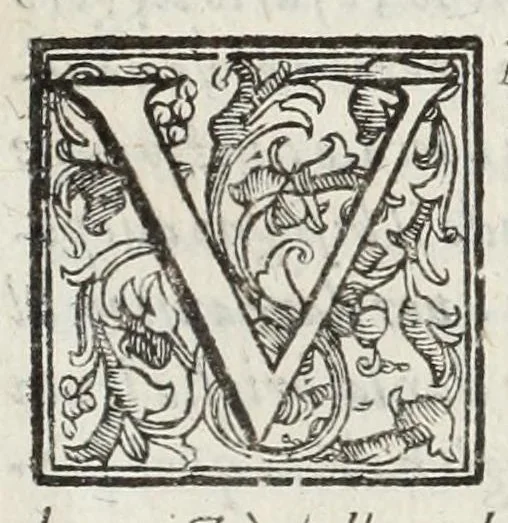An illustration from Perfette regole, et modi di caualcare, 1625, leaf 63