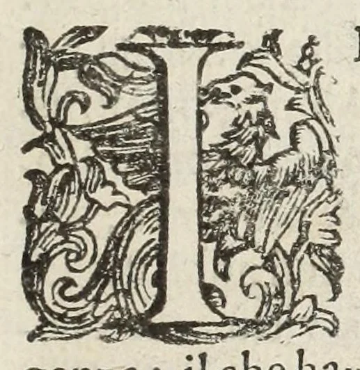 An illustration from Perfette regole, et modi di caualcare, 1625, leaf 9
