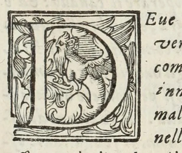 An illustration from Perfette regole, et modi di caualcare, 1625, leaf 91