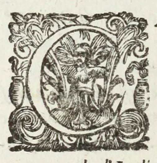 An illustration from Perfette regole, et modi di caualcare, 1625, leaf 96