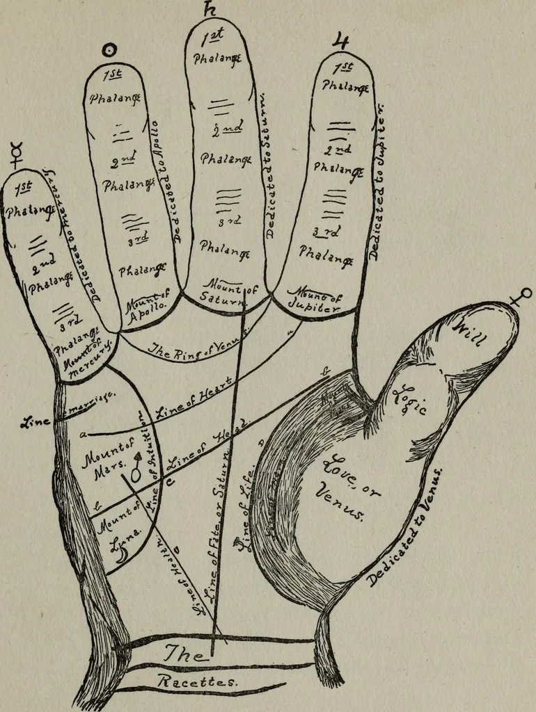 An illustration from Perin's science of palmistry; a complete and authentic treatise, 1902, leaf 104