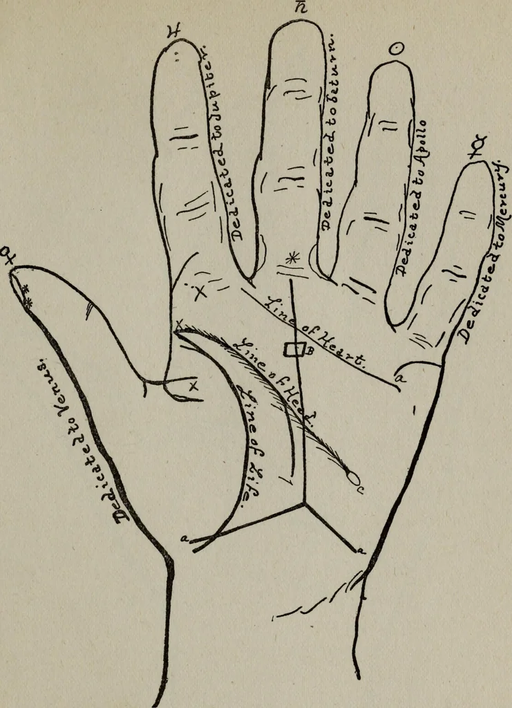 An illustration from Perin's science of palmistry; a complete and authentic treatise, 1902, leaf 114