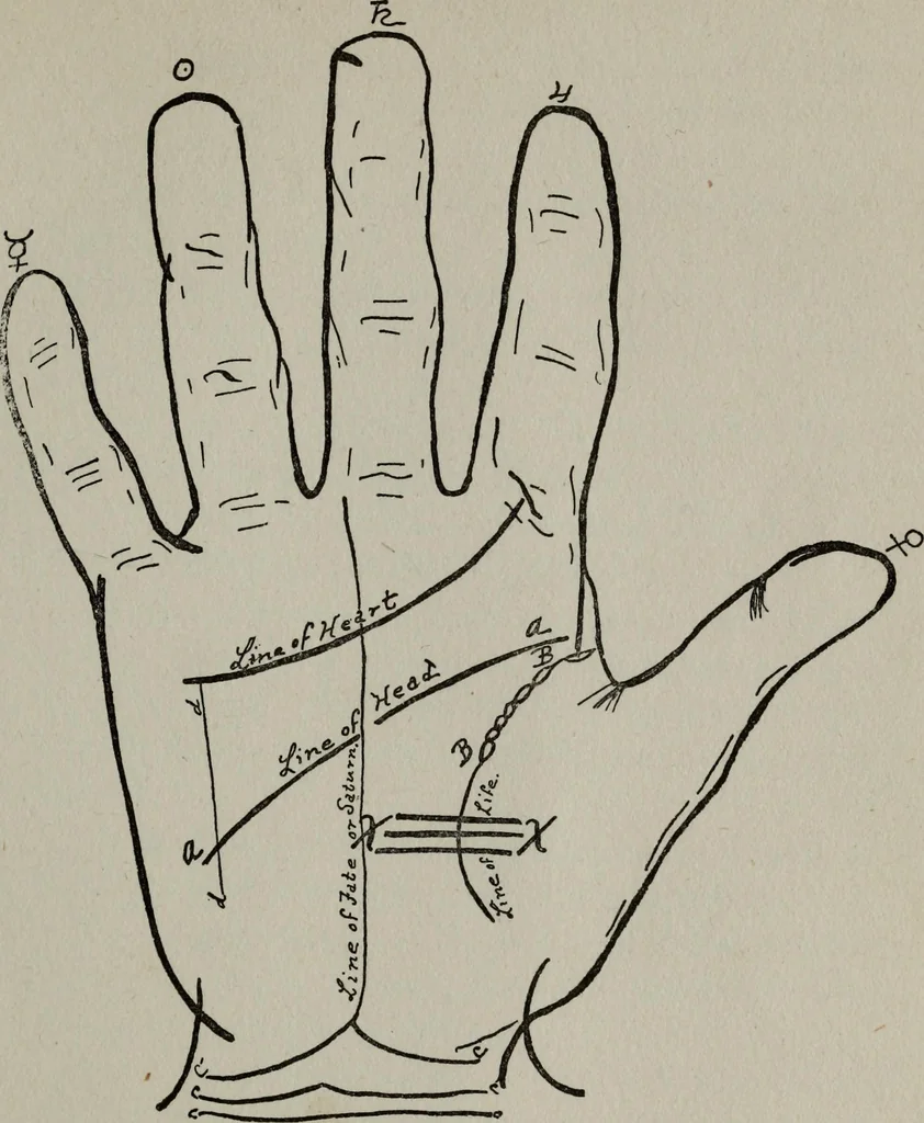 An illustration from Perin's science of palmistry; a complete and authentic treatise, 1902, leaf 120