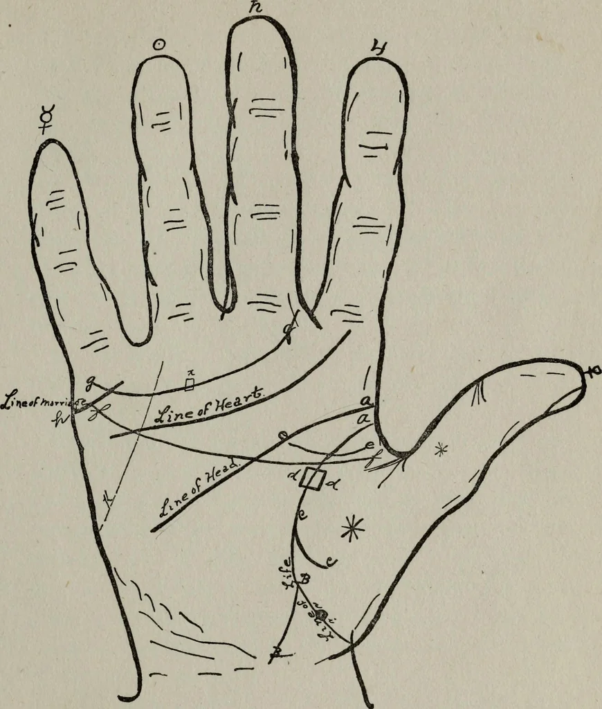 An illustration from Perin's science of palmistry; a complete and authentic treatise, 1902, leaf 124