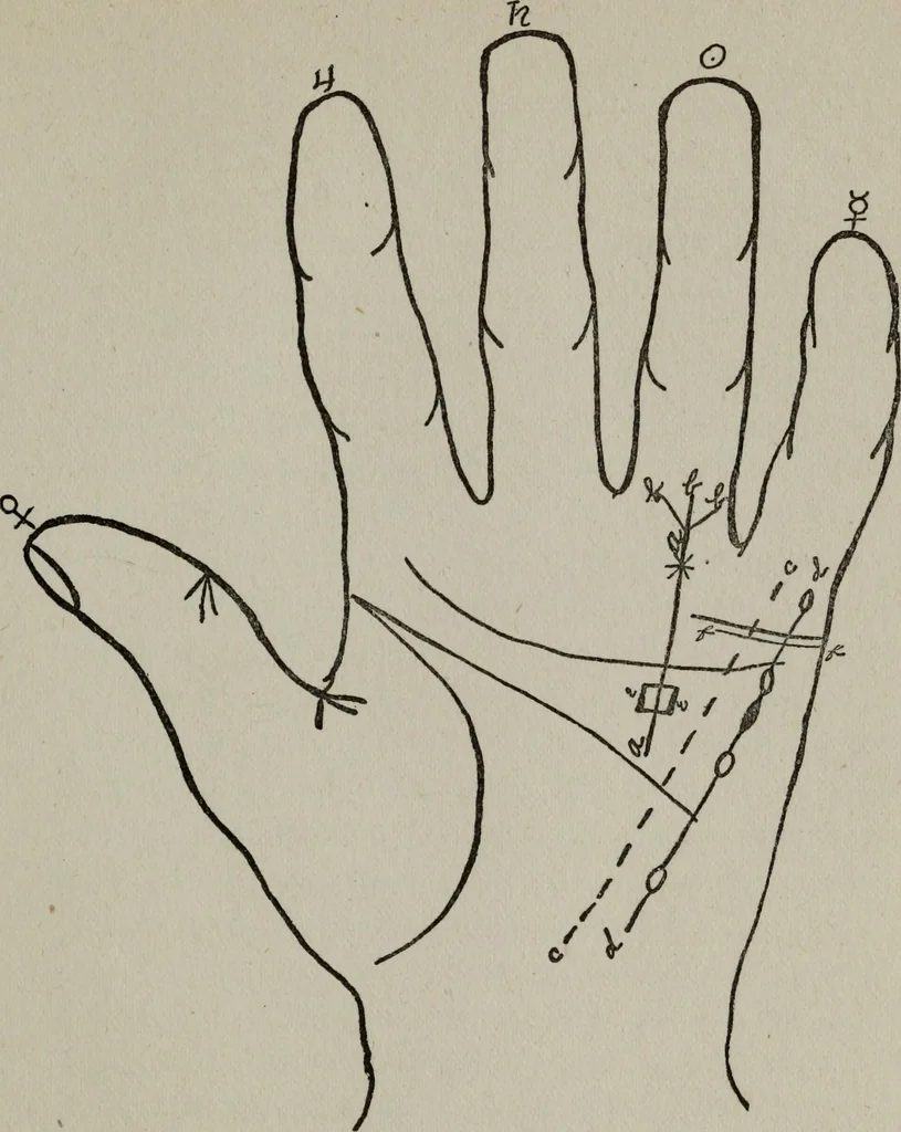 An illustration from Perin's science of palmistry; a complete and authentic treatise, 1902, leaf 134