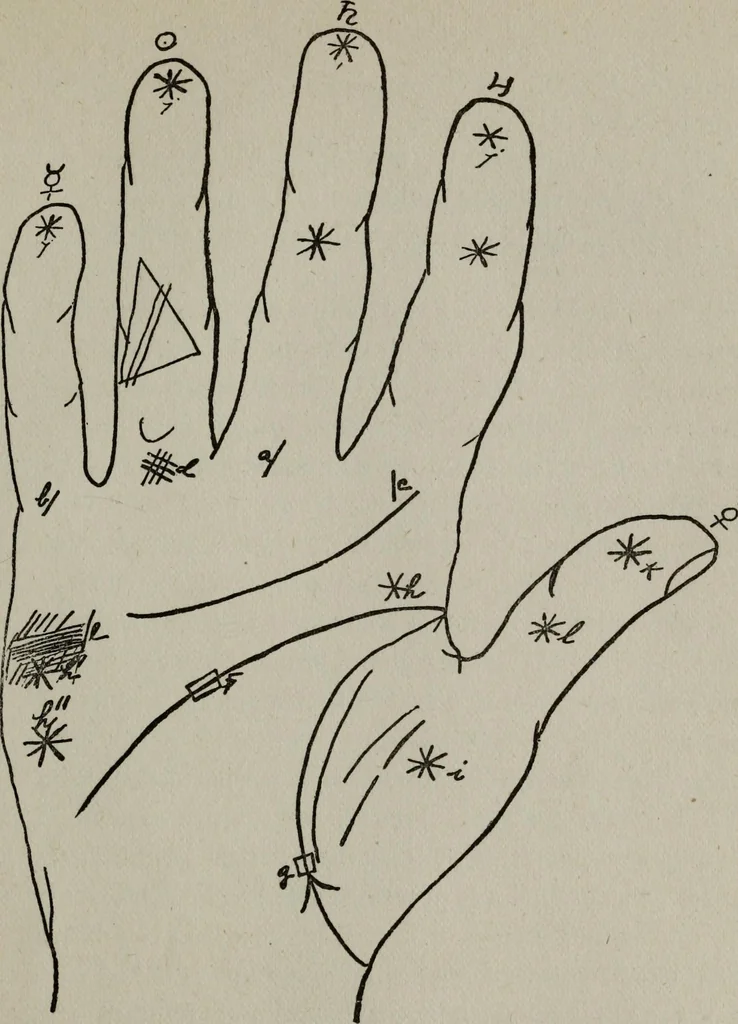 An illustration from Perin's science of palmistry; a complete and authentic treatise, 1902, leaf 152