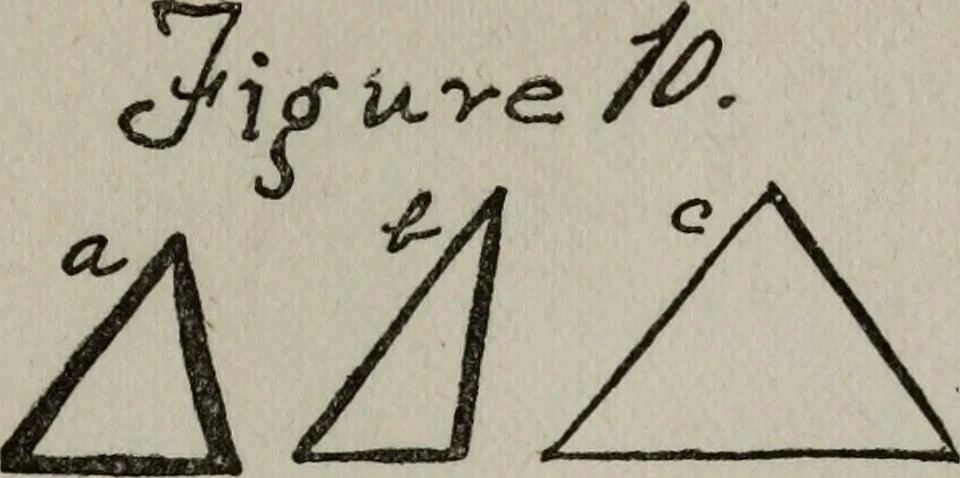 An illustration from Perin's science of palmistry; a complete and authentic treatise, 1902, leaf 160