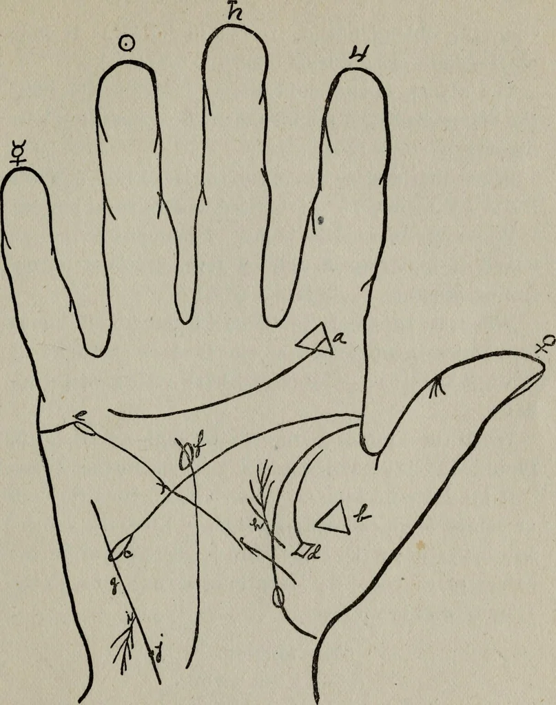 An illustration from Perin's science of palmistry; a complete and authentic treatise, 1902, leaf 168