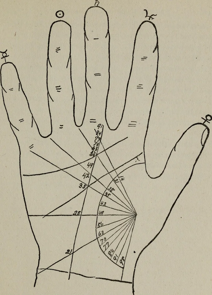 An illustration from Perin's science of palmistry; a complete and authentic treatise, 1902, leaf 184