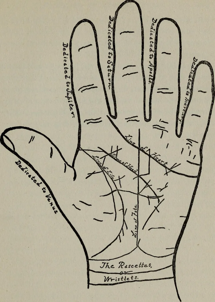 An illustration from Perin's science of palmistry; a complete and authentic treatise, 1902, leaf 200