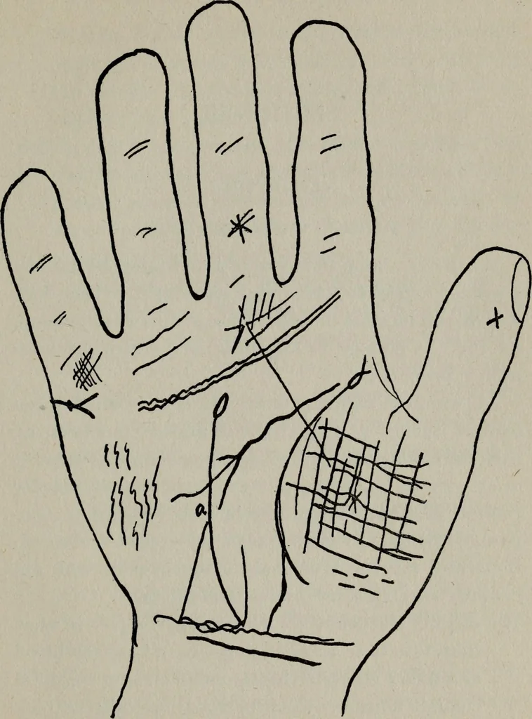 An illustration from Perin's science of palmistry; a complete and authentic treatise, 1902, leaf 204