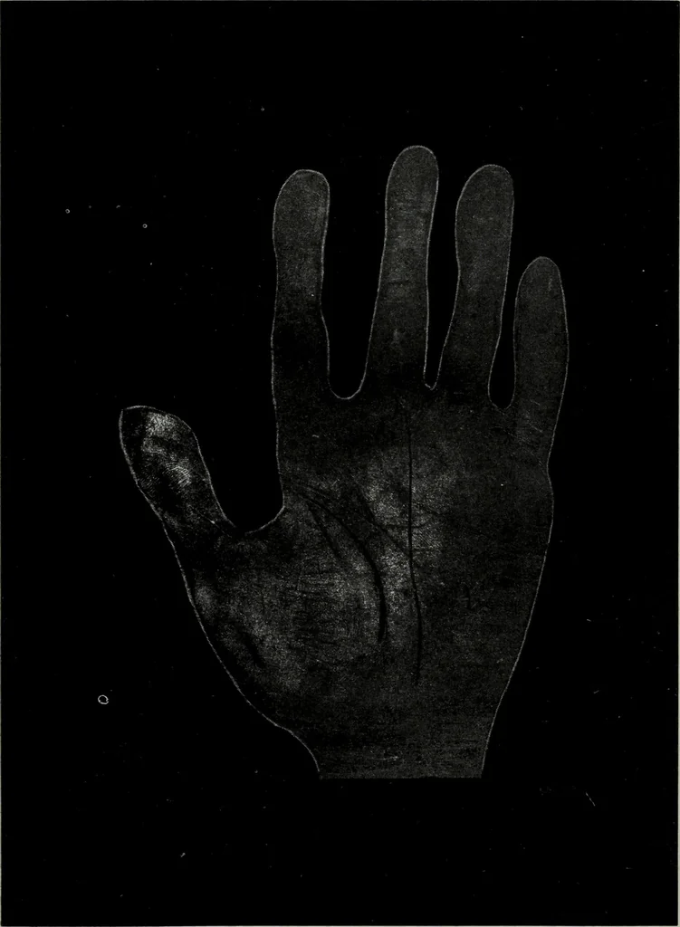 An illustration from Perin's science of palmistry; a complete and authentic treatise, 1902, leaf 218