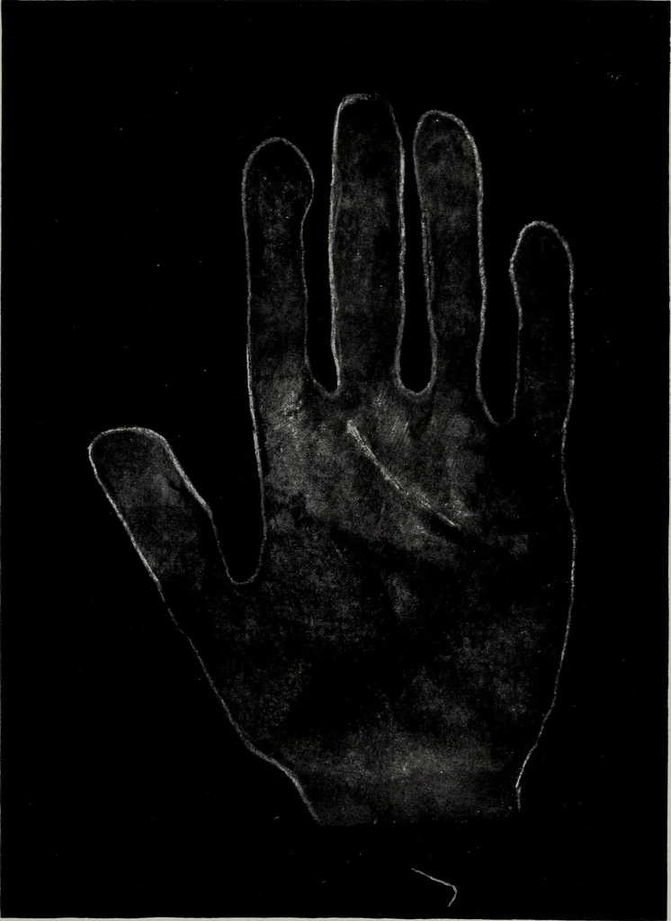 An illustration from Perin's science of palmistry; a complete and authentic treatise, 1902, leaf 220